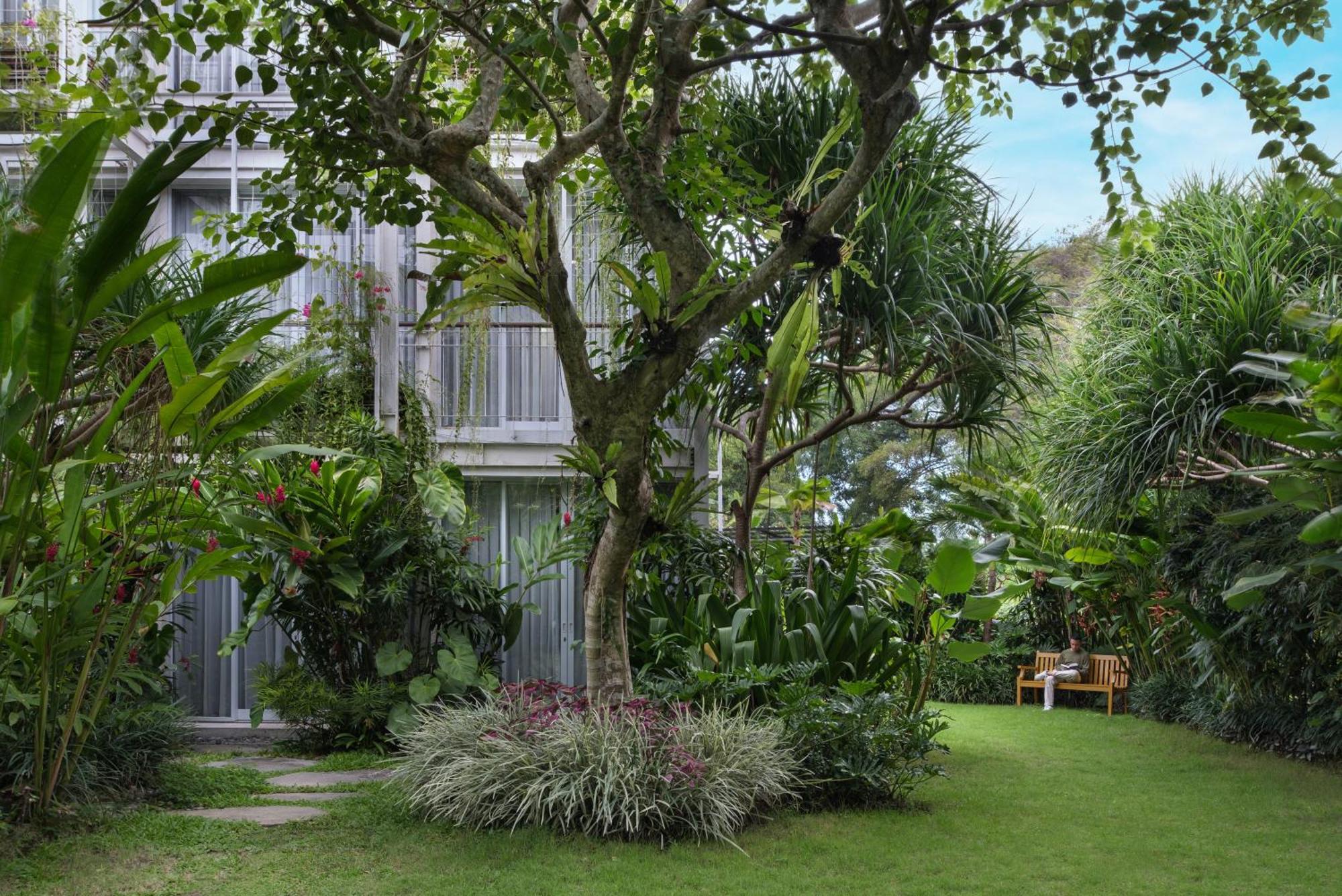Rimbun Canggu Hotel Exteriér fotografie